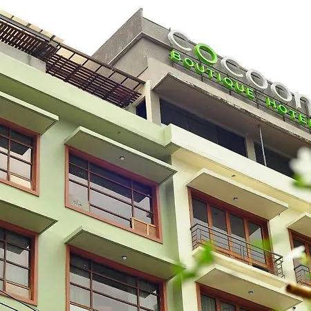 The Cocoon Boutique Hotel-3